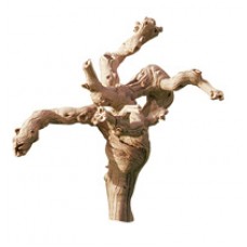 GRAPEWOOD BRANCHY Sanded 12" -OUT OF STOCK